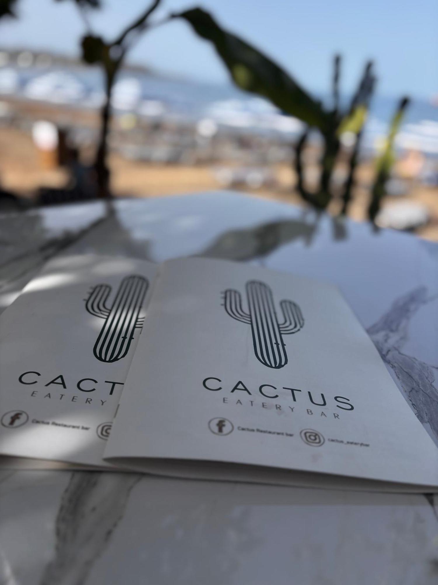 Cactus Apartment